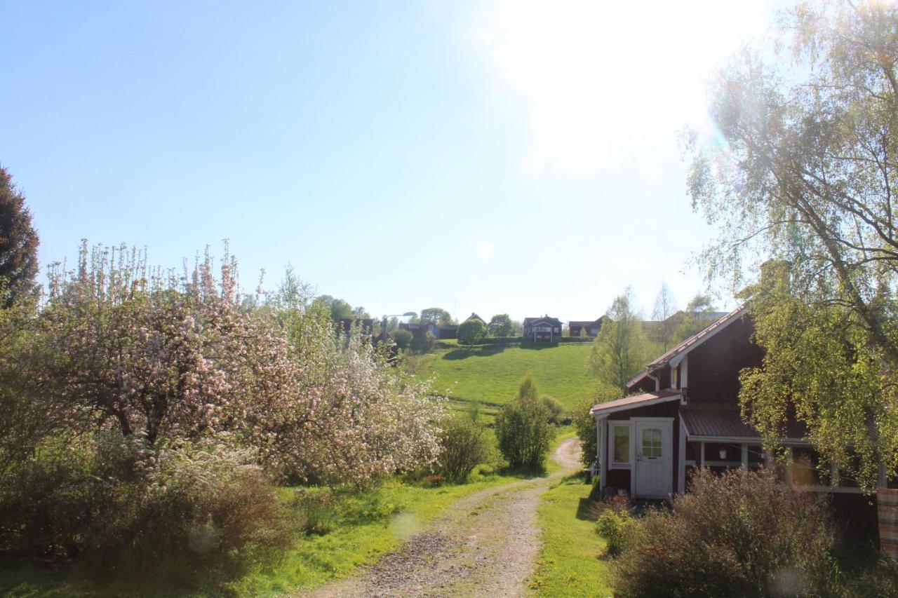 Boende Naera Romme Alpin Och Andra Friluftsaktiviteter I Dalarna Smedjebacken المظهر الخارجي الصورة